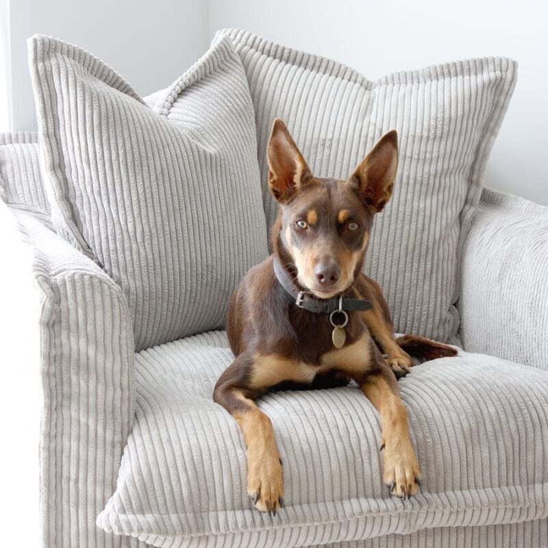 The Cloud Single Seater with Mist Corduroy Slipcover - Image 14